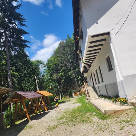 Cabana Valea Bradului Nucşoara 外观 照片