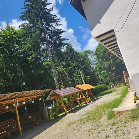 Cabana Valea Bradului Nucşoara 外观 照片