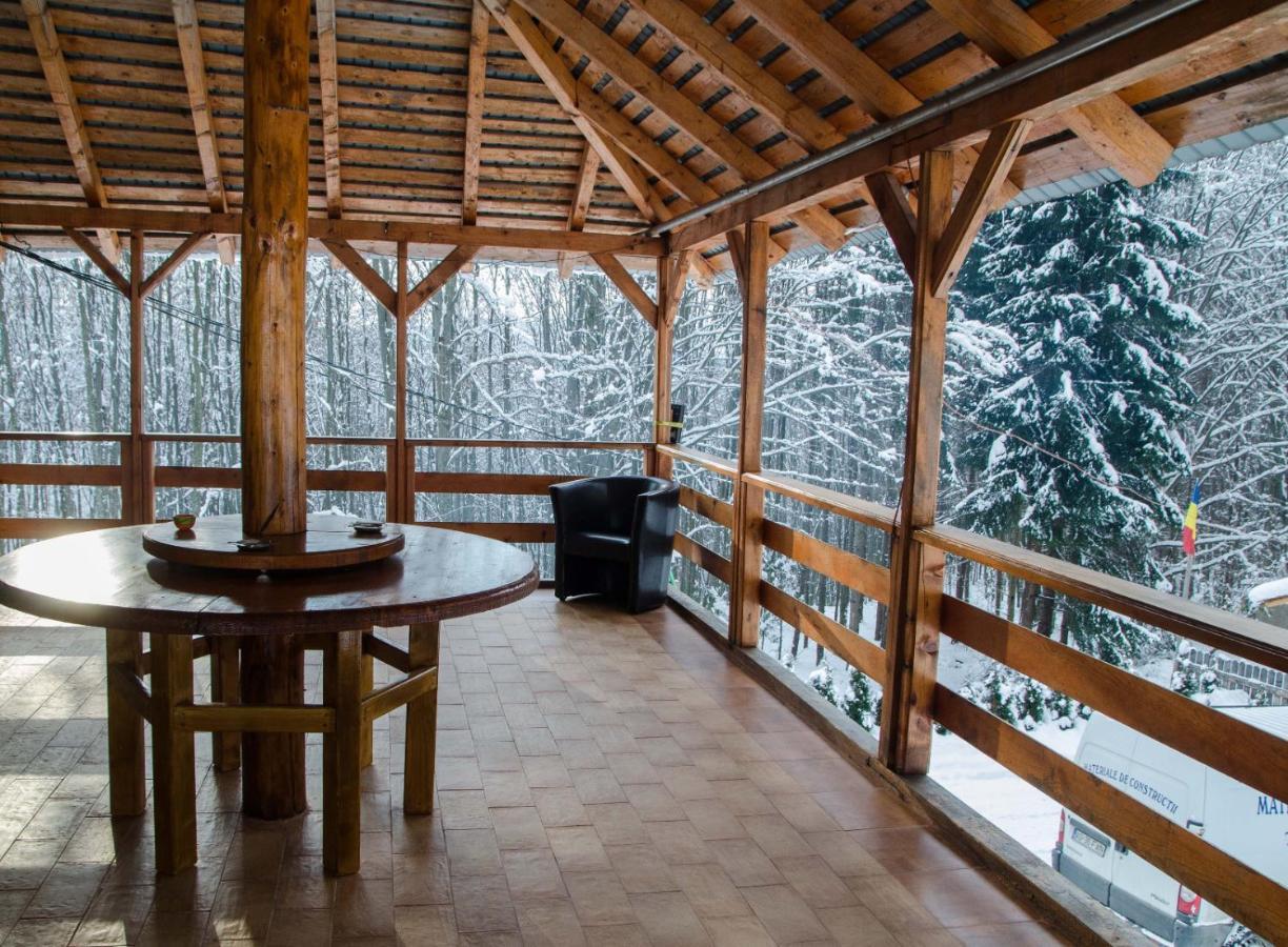 Cabana Valea Bradului Nucşoara 外观 照片