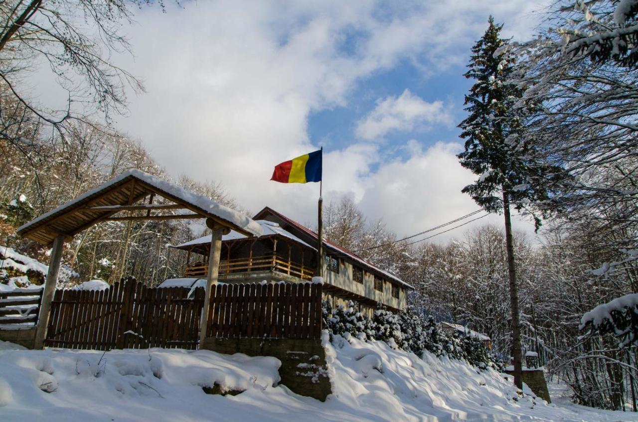 Cabana Valea Bradului Nucşoara 外观 照片