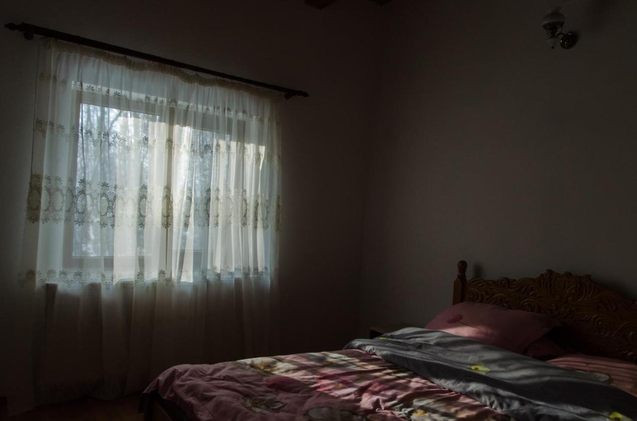 Cabana Valea Bradului Nucşoara 外观 照片