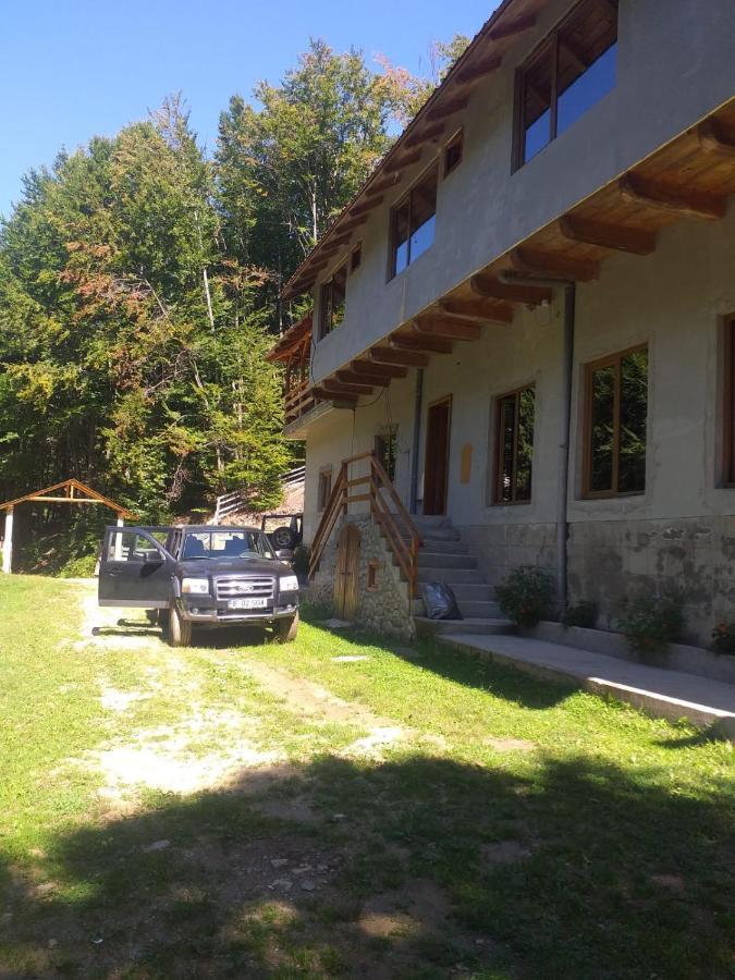 Cabana Valea Bradului Nucşoara 外观 照片