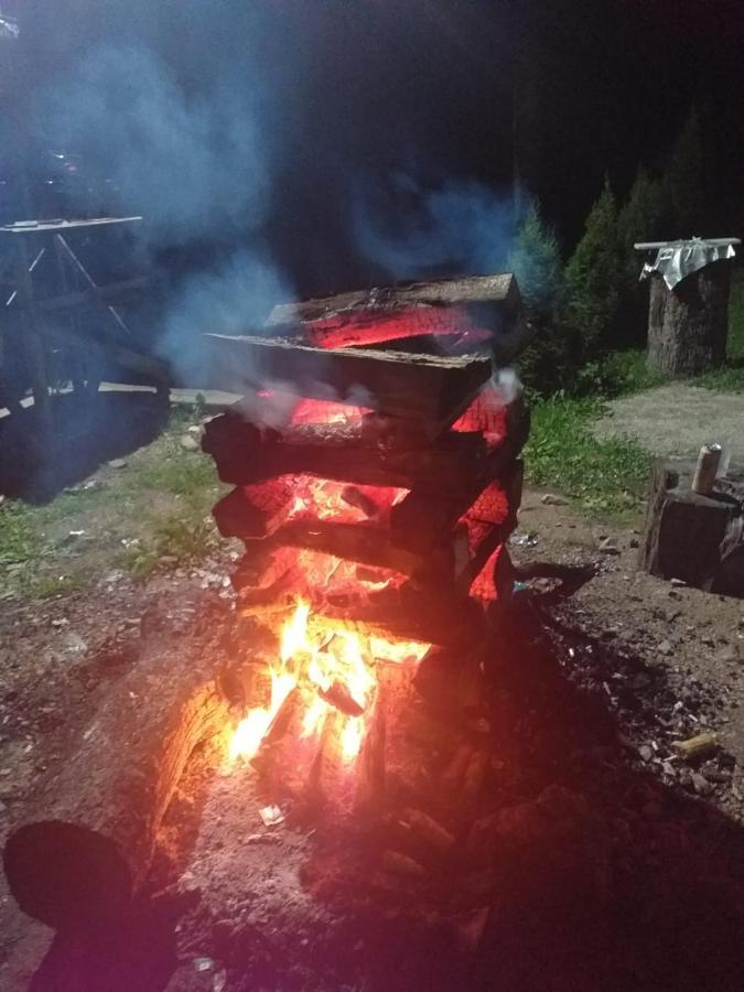 Cabana Valea Bradului Nucşoara 外观 照片