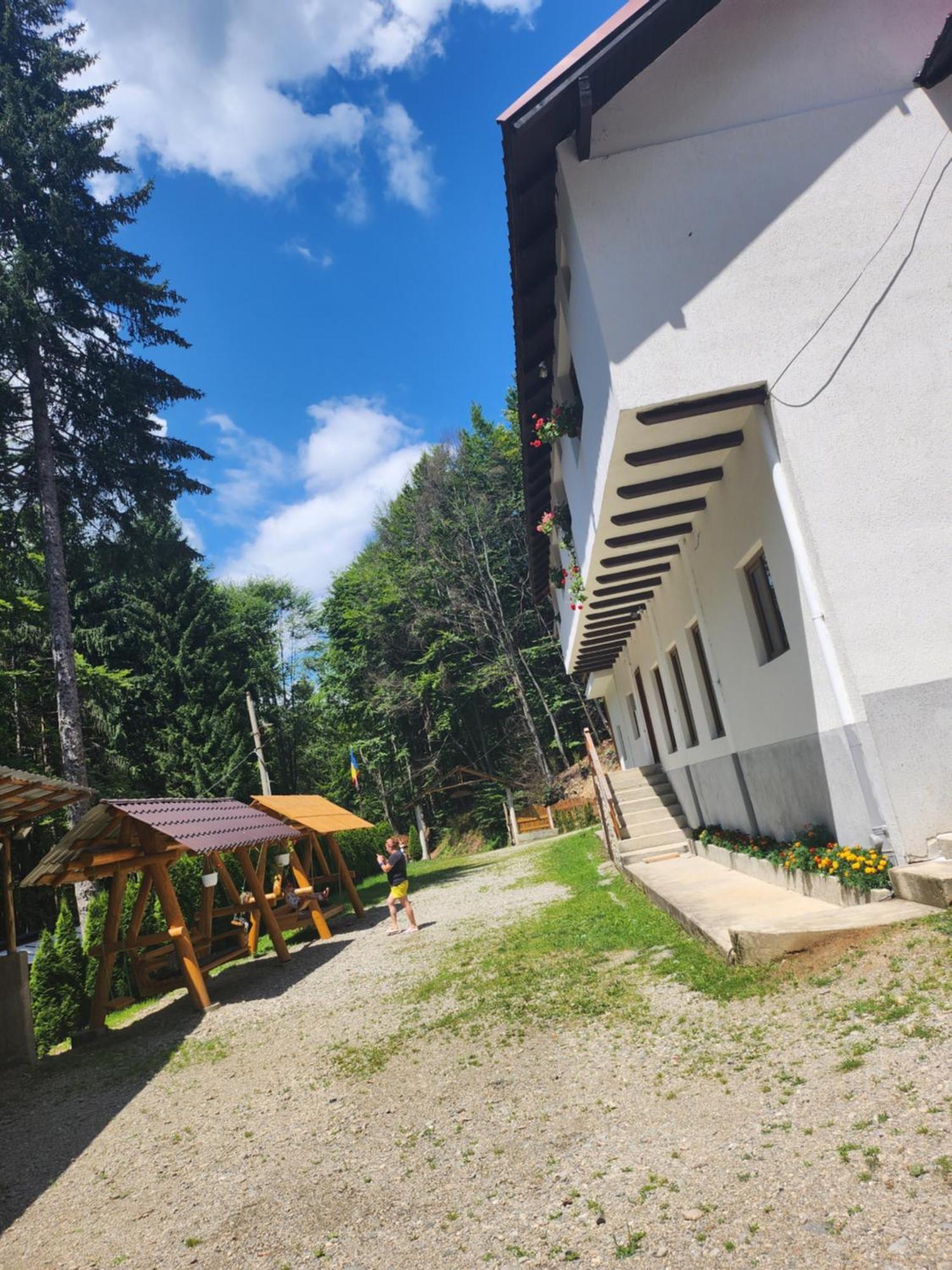 Cabana Valea Bradului Nucşoara 外观 照片