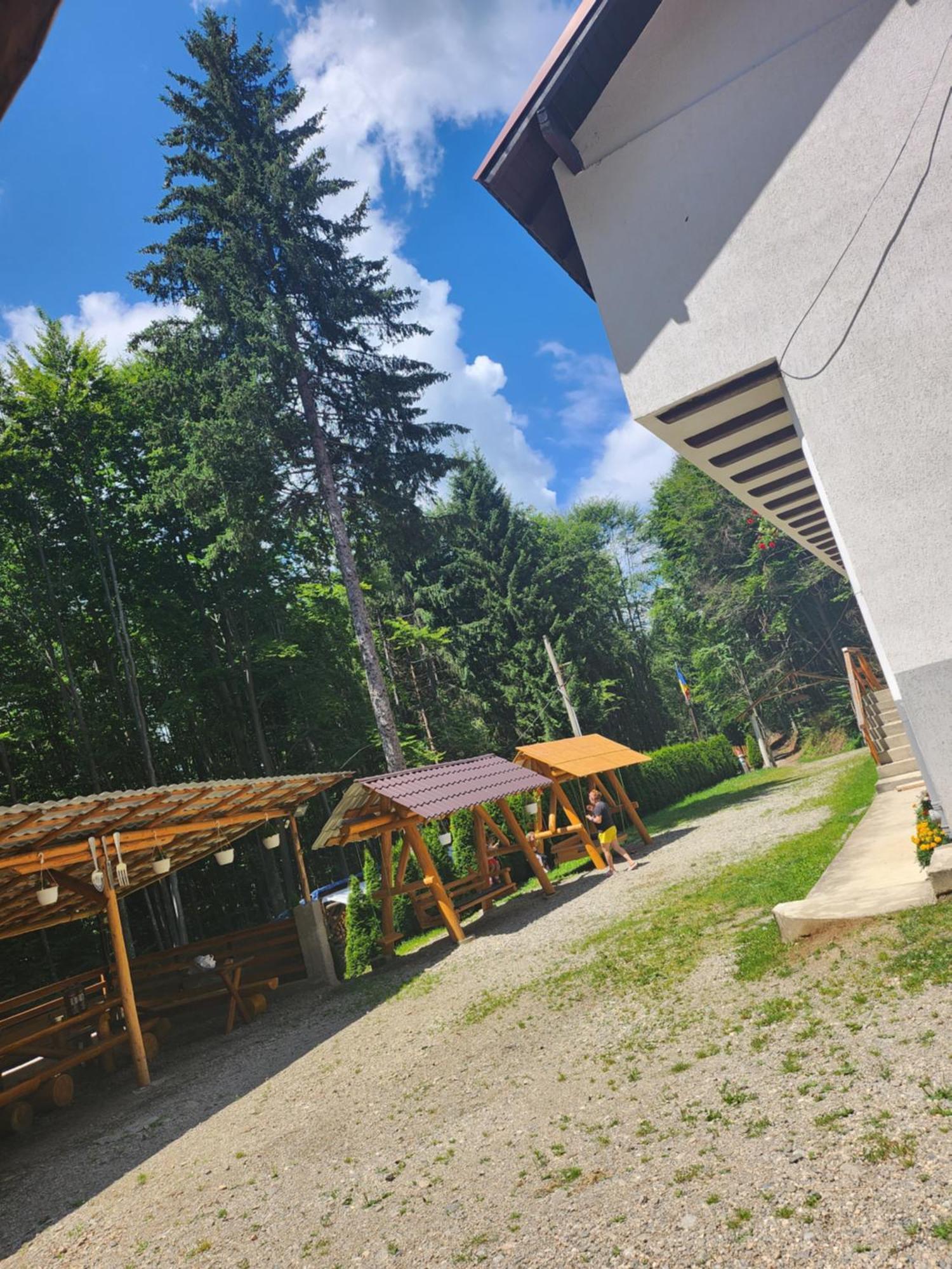 Cabana Valea Bradului Nucşoara 外观 照片